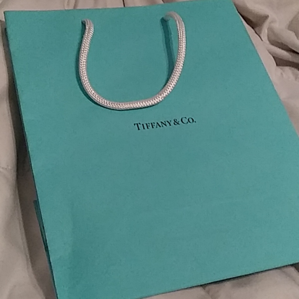 Tiffany  Co Medium Sized Gift Bag